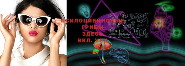 прущий лед Арсеньев